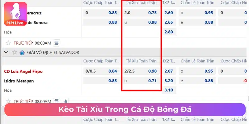 Cách Chơi Kèo Tài Xỉu Bóng Đá Và Những Sai Lầm Cần Tránh Kèo Tài Xỉu trong cá độ bóng đá