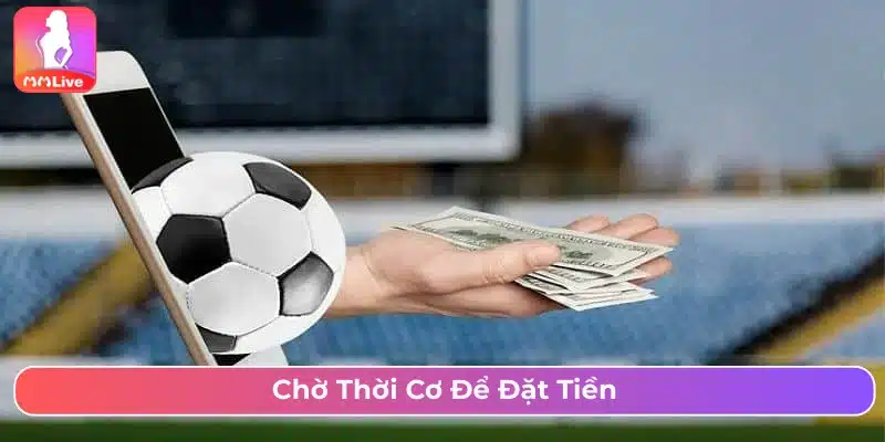Kèo Rung Là Gì? Cách Chơi Và Mẹo Cược Thắng Đậm Chờ thời cơ để vào kèo