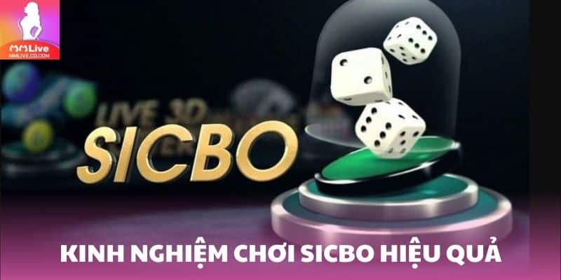 Sicbo - Chơi Cá Cược Tựa Game Casino Đầy Cuốn Hút Dễ Dàng Chiến thuật quản lý vốn và phân tích kết quả giúp tăng tỷ lệ thắng khi chơi