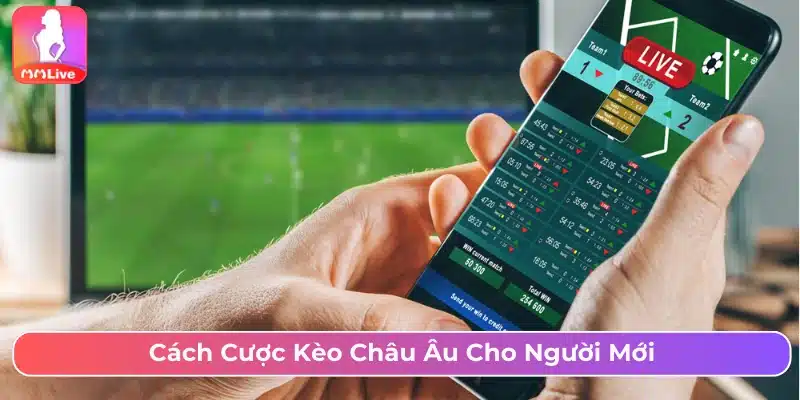 Cách Chơi Kèo Châu Âu Với Chiến Lược Cược Hiệu Quả Nhất Cách cược kèo bóng đá khi chơi kèo châu Âu cho người mới