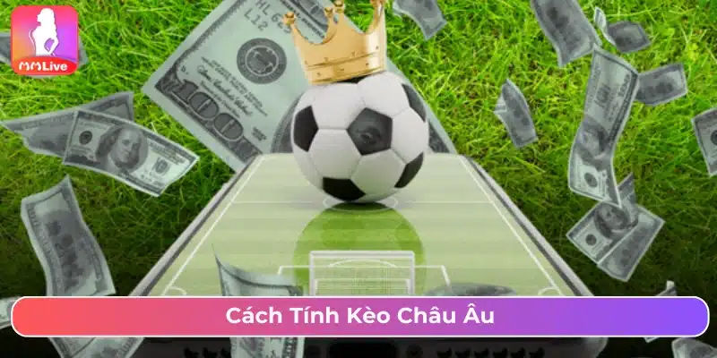 Cách Chơi Kèo Châu Âu Với Chiến Lược Cược Hiệu Quả Nhất Cách tính tiền thưởng khi cược kèo 1X2