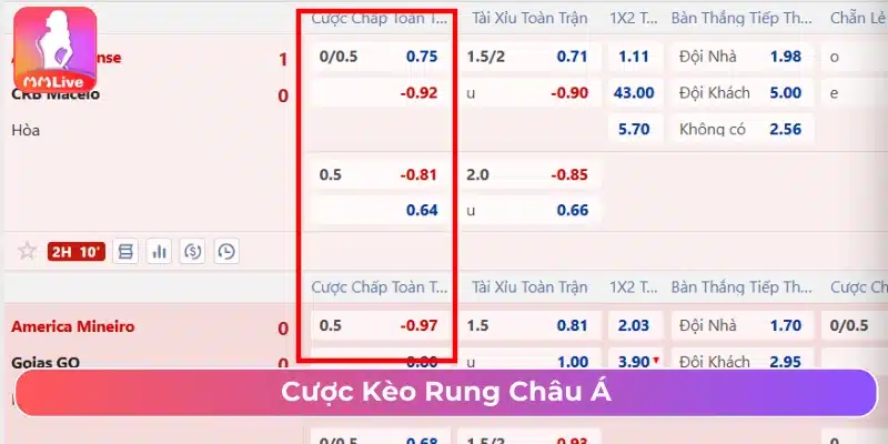 Kèo Rung Là Gì? Cách Chơi Và Mẹo Cược Thắng Đậm Cược rung đối với kèo chấp