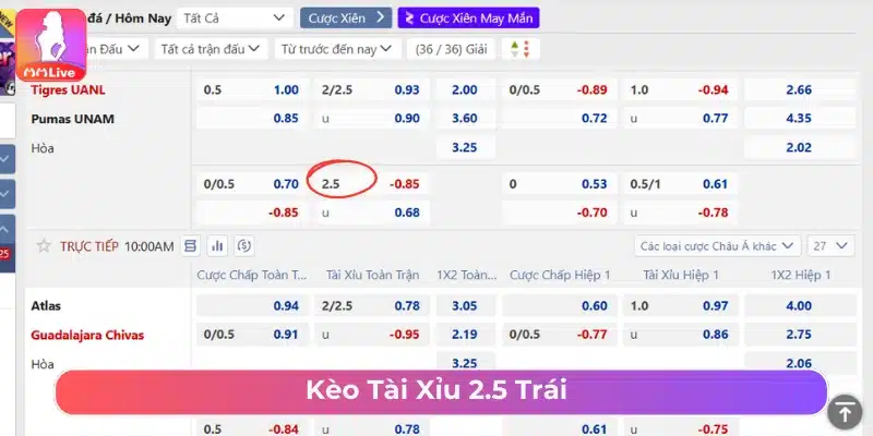 Cách Chơi Kèo Tài Xỉu Bóng Đá Và Những Sai Lầm Cần Tránh Cá cược kèo Tài Xỉu bóng đá 2.5 trái