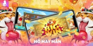 ho may man