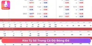 Cá cược kèo tỷ số chính xác 