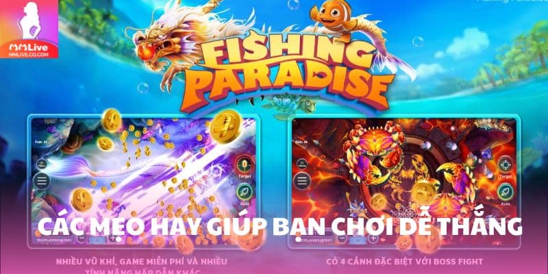 Paradise – Thế Giới Bắn Cá Giải Trí Đỉnh Cao Tại MMlive Hướng dẫn các mẹo hay